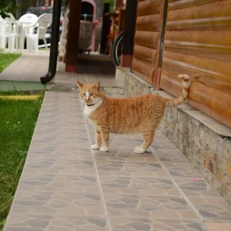 Ruza Apartment