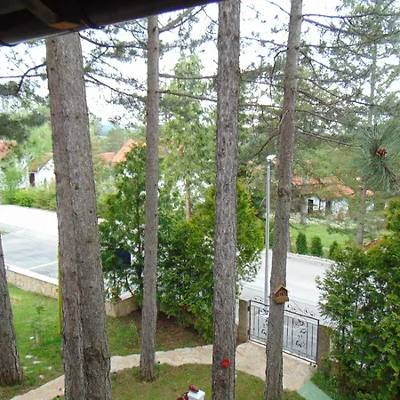 Ruza * Zlatibor