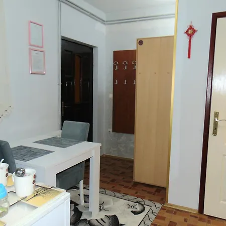 Ruza 公寓 兹拉蒂博尔