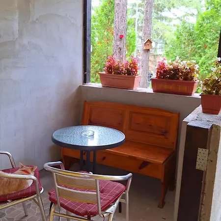 Ruza 公寓 兹拉蒂博尔