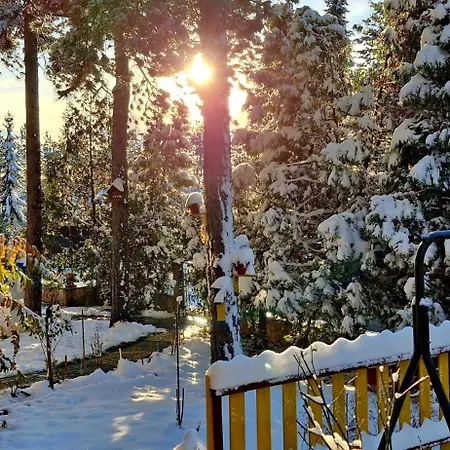 Ruza Apartment Zlatibor