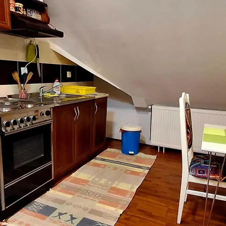 Ruza Apartment Zlatibor
