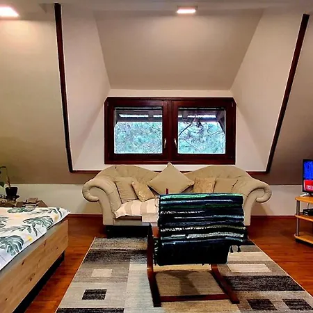 公寓 Ruza 兹拉蒂博尔