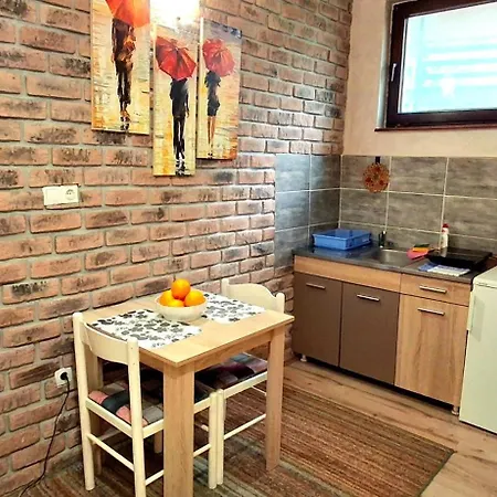 公寓 Ruza 兹拉蒂博尔