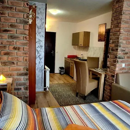 Apartment Ruza