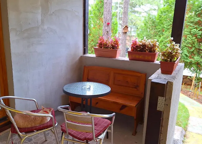 Ruza Apartman Zlatibor