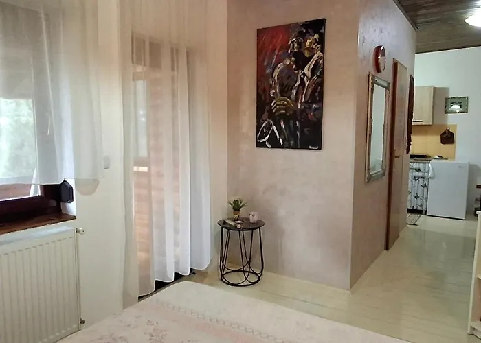 Apartman Ruza Zlatibor