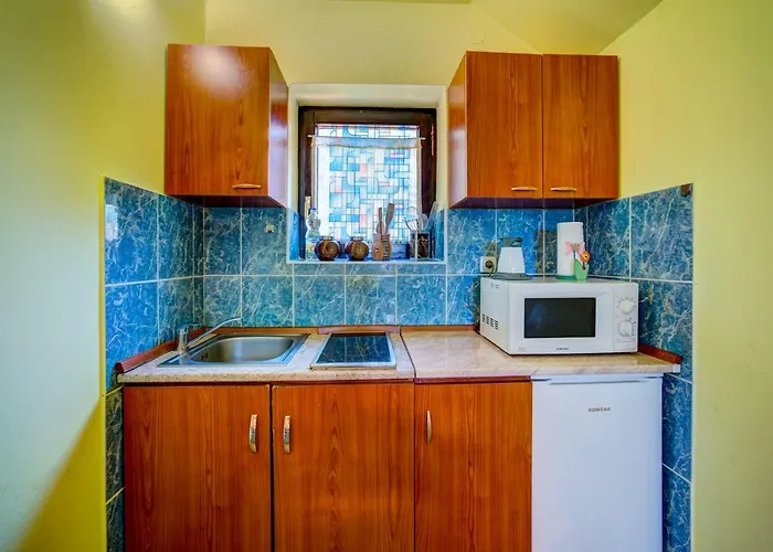 Apartman Ruza Zlatibor